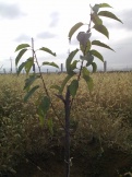 2012-11-05 18-44-32.JPG